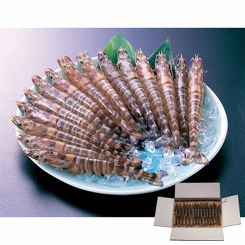 F{EVuvԊCV  (M-70)y͂ԁF1227܂Łz